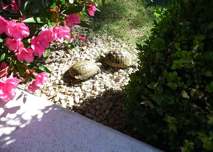 Дом отдыха Holiday Romantica